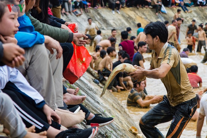 Thêm những con cá được lôi lên bờ.