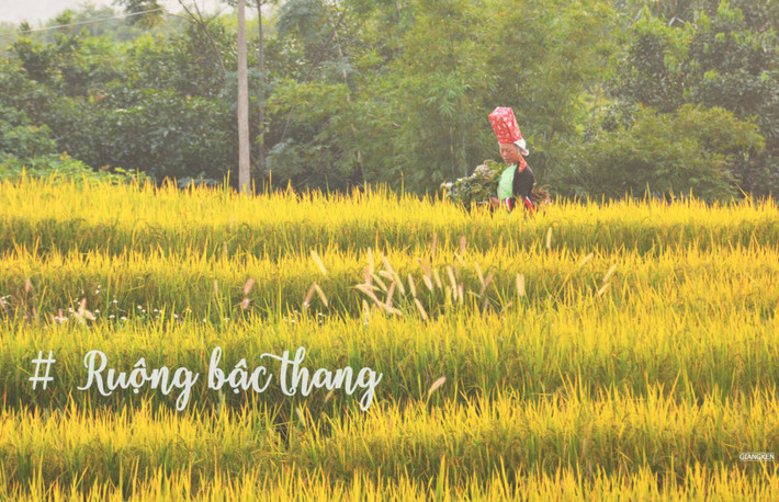 Là nơi sinh sống của đồng bào Dao, Sán Chỉ, Tày,… Bình Liêu có nhiều ruộng bậc thang đẹp, nhuộm sắc vàng mỗi mùa lúa chín, tạo nên nét riêng dù không kỳ vĩ như Tây Bắc.