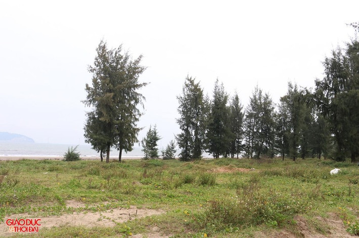 Tính từ khi được tỉnh Nghệ An cấp giấy chứng nhận đầu tư lần đầu, dự án triển khai trên diện tích đất hơn 132 ha, với quy mô gồm 2 khu: Khu tổ hợp sân golf, khách sạn, biệt thự và khu vực kho, công trình phụ trợ, vườn ươm, nhà ở cán bộ công nhân viên. Tổng vốn đầu tư là 1.527,85 tỷ đồng, với tiền độ thực hiện 8 năm, kể từ ngày cấp giấy chứng nhận đầu tư đến 28/4/2015. (Ảnh: Giáo dục & Thời đại).