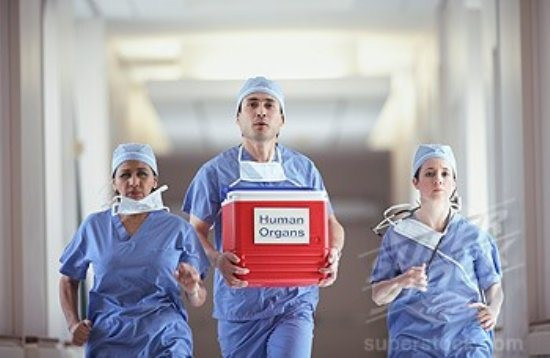 Ngoài nhiệm vụ chở hành khách, máy bay còn vận chuyển thi thể những người quá cố hoặc nội tạng con người. Đây được coi là loại hàng hóa đặc biệt và phải trải qua quá trình kiểm tra nghiêm ngặt tại các sân bay.