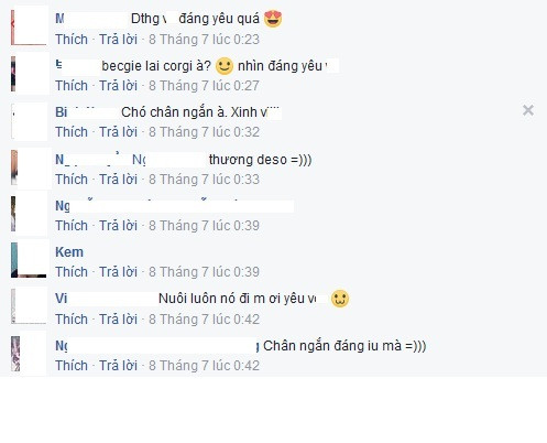 Bạn Bạch Hương Giang chắc chắn: ‘Lai với Corgi rồi chúng mày'; nick Ngọc Diệu cũng cùng chung suy nghĩ: ‘Nhìn là biết lai Corgi rồi.' Facebook Việt Trung hài hước 'soi mói': 'Đã lùn còn chân sau dài hơn chân trước'. Nhiều cư dân mạng cũng nhanh chóng nhận ra chú chó này thậm chí còn bị... vòng kiềng.