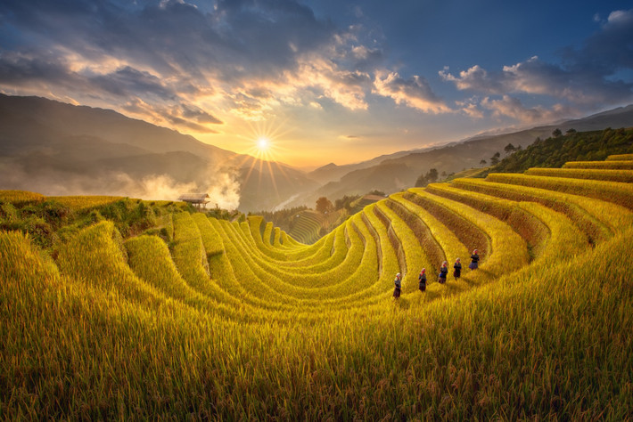 CNTraveler đánh giá ruộng bậc thang ở Mù Cang Chải nổi tiếng nhờ đem lại những góc nhìn đầy ấn tượng tại một địa hình khó khăn.