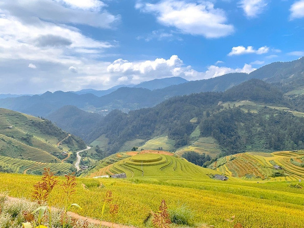 Nơi đây là sự tổng hòa của lúa vàng, trời xanh, núi đồi trùng điệp. (Ảnh: Kenh14)