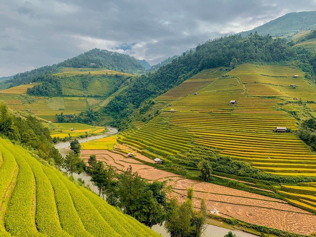 Tháng 10 là thời điểm thích hợp nhất để du lịch Mù Cang Chải. (Ảnh: Kenh14)