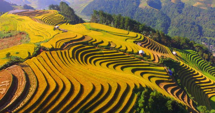 Tạp chí du lịch này cho biết, thời điểm thích hợp để tham quan Mù Cang Chải là vào đầu tháng 10 khi đợt thu hoạch lúa bắt đầu.