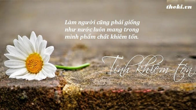 Người khiêm tốn thì không bao giờ hài lòng với thành công của mình, lúc nào họ cảm thấy mình thật nhỏ bé, chính vì vậy họ cố gắng nỗ lực mỗi ngày.