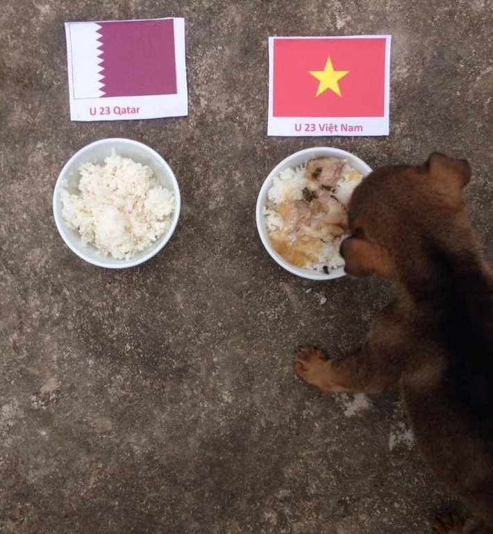 Chú chó tiên tri của U23 Việt Nam. Màn trình diễn thuyết phục của thầy trò ông Park Hang-Seo là cơ sở để người hâm mộ đặt niềm tin vào chiến thắng trong trận bán kết. Nhưng dù kết quả thế nào, các chàng trai Việt Nam vẫn xứng đáng nhận được sự tin yêu từ hàng triệu trái tim cổ động viên. Ảnh: Thân Hoàng.