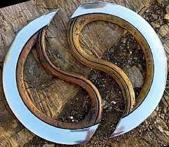 Chakram có thể cắt đứt tay hoặc cổ họng của đối thủ chỉ trong một đòn duy nhất.