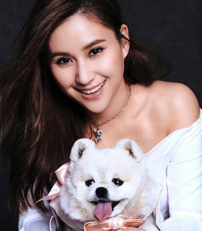 Không chỉ được biết đến bởi gia thế khủng, Laurinda còn nhận được lời mời làm người mẫu cho nhiều thương hiệu danh tiếng nhờ ngoại hình xinh đẹp. Cô được báo chí ca ngợi là cô "con gái vàng" của Stanley Ho.