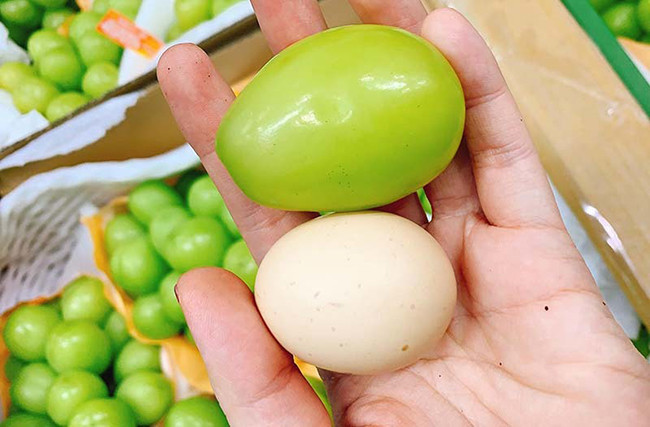 Nho mẫu đơn Nhật Bản loại VIP, mỗi quả to hơn cả quả trứng gà.