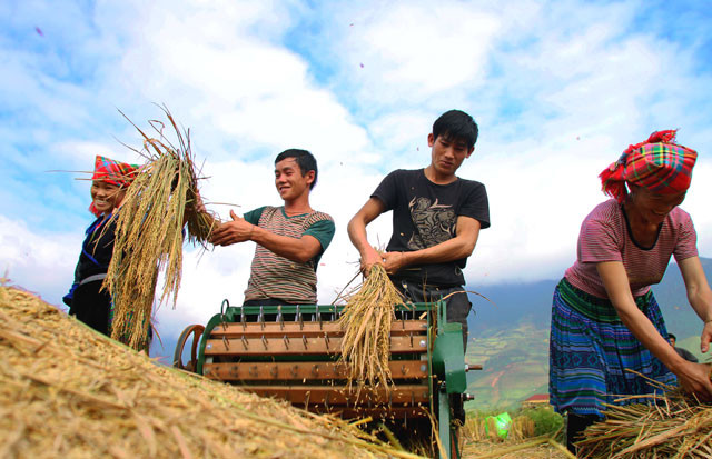 Thị trấn nổi tiếng với đặc sản gạo nếp này là nơi bạn có thể chiêm ngưỡng cảnh sắc yên bình của một vùng quê trù phú.