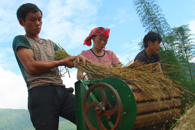 Du khách có thể hòa mình vào những việc thường ngày cùng dân nơi đây, tận hưởng hương thơm ngào ngạt của hương lúa mới hay thưởng thức chút xôi nếp giản dị mà nức tiếng cả nước của đồng bào dân tộc Thái.