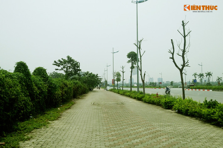 Trước đó, ngày 4/2/2017, Hà Nội đã tổ chức phát động Tết trồng cây. Tại buổi lễ, lãnh đạo TP Hà Nội yêu cầu các đơn vị trên địa bàn Thủ đô phải trồng thêm 430.000 cây xanh trong năm 2017 để từng bước thực hiện mục tiêu đến năm 2020 Hà Nội sẽ trồng đủ một triệu cây xanh.