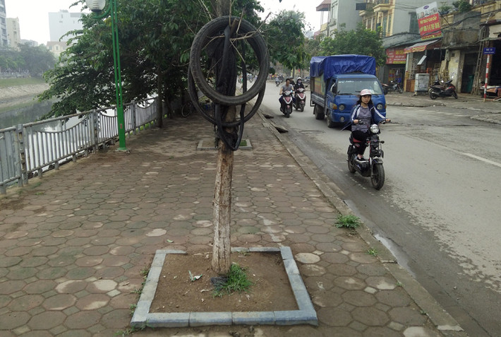 Cây xanh bị chết được người dân tận dụng để làm nơi treo săm, lốp xe.