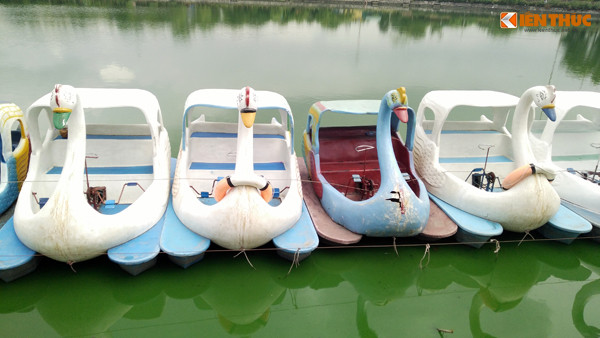 Nhiều hộ kinh doanh ở khu vực hồ Văn Quán cũng rơi vào tình trạng ế ẩm do khách không thể chịu nổi mùi thối.