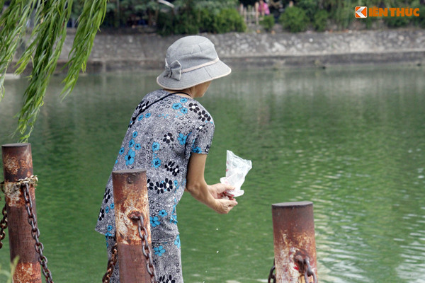 Trong khi những rác thải, lớp tảo, lớp váng đen, xác cá... dưới lòng hồ chưa được xử lý, thì hàng ngày vẫn còn một số người dân cố tình vứt đủ thứ xuống lòng hồ khiến hồ càng bị ô nhiễm.