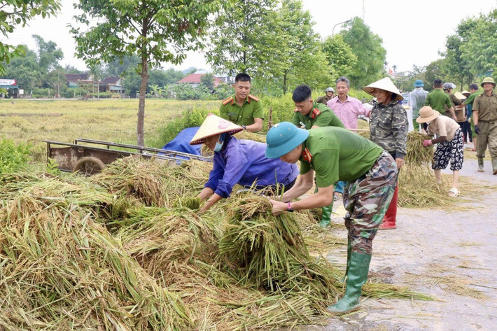 Ngay sau khi nước rút, quân đội, công an và lực lượng tham gia bảo vệ an ninh, trật tự tại cơ sở ở các địa bàn thuộc tỉnh Hà Tĩnh đã khẩn trương có mặt tại các cánh đồng để đồng hành, hỗ trợ bà con gặt lúa.