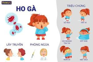 Ho gà là bệnh truyền nhiễm cấp tính, có khả năng gây dịch. trieu-chung-benh-ho-ga-06091.jpg