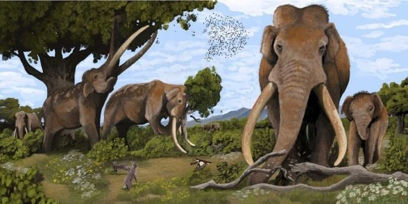 Loài 'quái thú' nặng 13 tấn bị người Neanderthal săn bắt nhiều