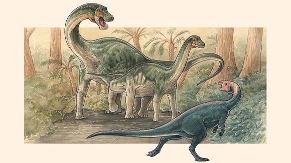 Phát hiện loài quái vật mới thời tiền sử, nặng 8 - 10 tấn