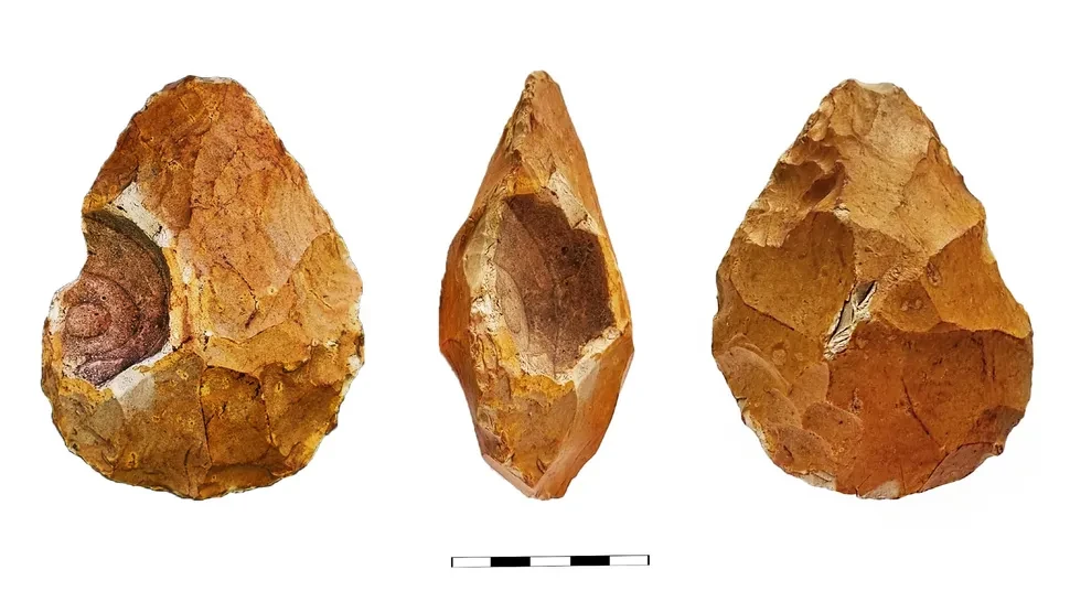 Phát hiện mới về công cụ bằng đá của người Homo erectus