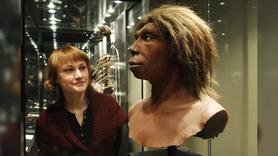 Phát hiện bất ngờ về người Neanderthal và người hiện đại