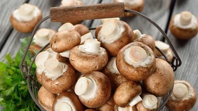7 tác dụng của nấm hương