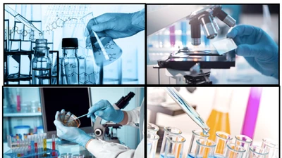 Xử phạt Công ty Chứng nhận và Kiểm nghiệm FAO 75 triệu đồng