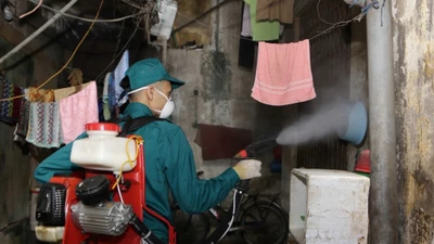 Hà Nội ghi nhận 21 ca mắc sốt xuất huyết trong tuần qua