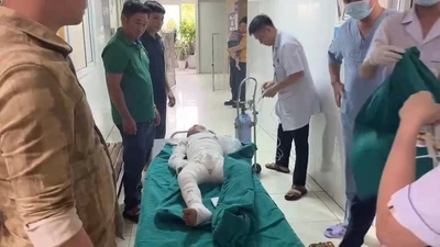 Dùng xăng đốt kiến, hai cháu nhỏ bị bỏng nặng