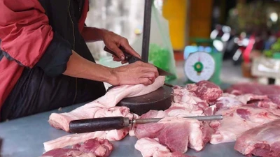  Hà Nội ghi nhận ca thứ 8 mắc liên cầu lợn trong năm 2025
