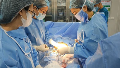 Cụ ông 71 tuổi bị ngã chấn thương khi trèo cây cắt cành tránh bão