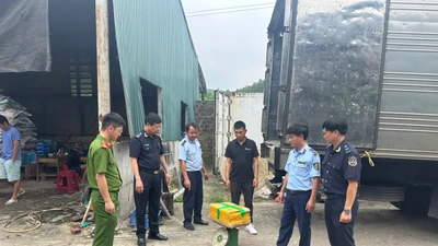 Phát hiện hơn 25 tấn thực phẩm bốc mùi tại Móng Cái