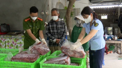 Hà Nam tiêu hủy trên 1,2 tấn thực phẩm đông lạnh "bẩn"
