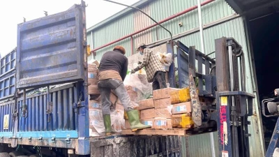 Đồng Nai tiêu hủy hơn 30 tấn vú heo, dồi trường, lườn ngỗng