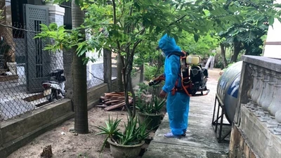 Gia tăng ca mắc liên cầu lợn, ngành Y tế Huế khuyến cáo