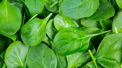 12 loại rau quả tồn dư nhiều thuốc trừ sâu 