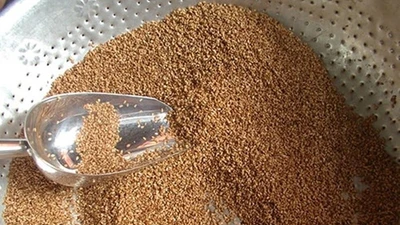 Hạt mè hỗ trợ kiểm soát đường huyết, mỡ máu