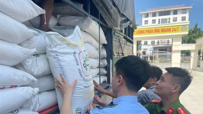 Nghệ An tạm giữ 3 tấn đường cát nhập lậu