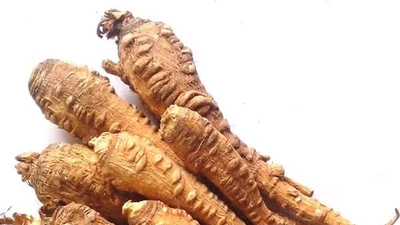 Dược liệu Bạch chỉ tính ấm có công dụng giải cảm, tiêu viêm