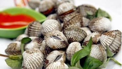 Lợi ích của sò huyết