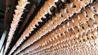 Hà Nội kiểm tra hoạt động giết mổ heo của C.P. Việt Nam