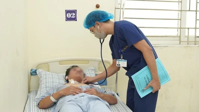 Người đàn ông ở Phú Thọ suýt mất mạng vì bị kiến cắn 