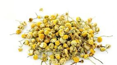 Thu hồi lô dược liệu Cúc hoa vàng của Hợp tác xã dược liệu Ninh Hiệp 