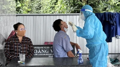 Phát hiện ổ dịch cúm gia cầm H5N1 tại tỉnh Đắk Lắk
