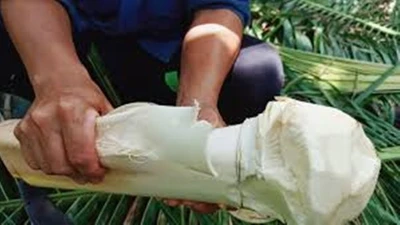 Cổ hũ dừa - món ăn "xa xỉ"