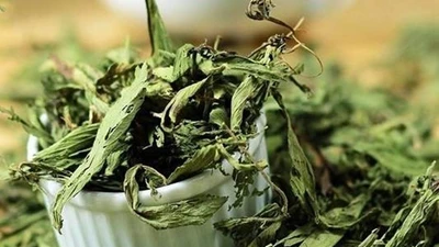8 tác dụng của cỏ ngọt sấy khô không phải ai cũng biết