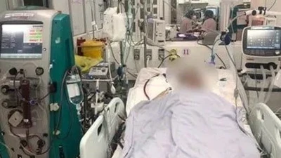 Cứu sống người bệnh viêm cơ tim cấp nguy kịch bằng ECMO
