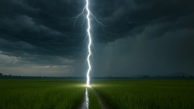 Một người ở Phú Thọ bị sét đánh tử vong khi đang làm ruộng