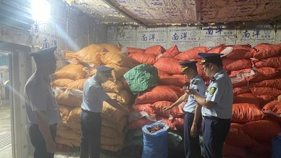 Phát hiện gần 8 tấn chân gà không xuất xứ đang chờ tiêu thụ